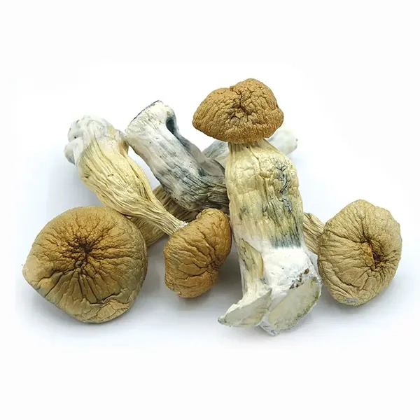 THARSHERS VANCOUVER MUSHROOMS